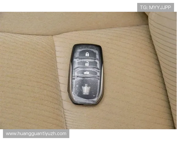 皇冠手机版登录指南详解，帮助新手快速掌握登录流程与安全保障