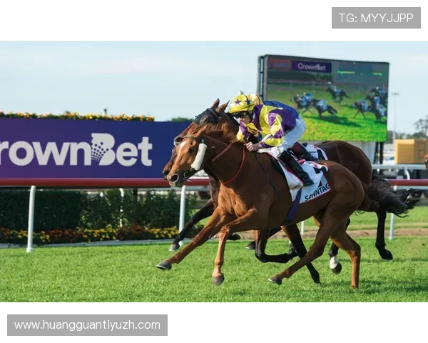 皇冠新体育让你第一时间了解体育界的热点新闻与赛事结果