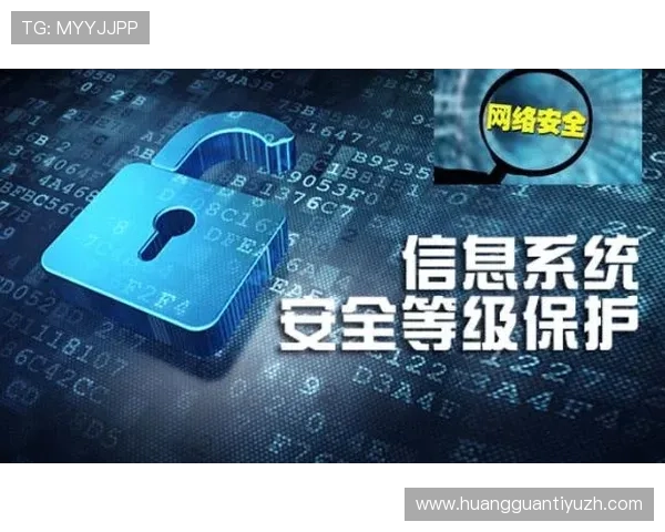 皇冠vip站的支付安全措施及个人信息保护策略 皇冠vip站的支付安全措施及个人信息保护策略
